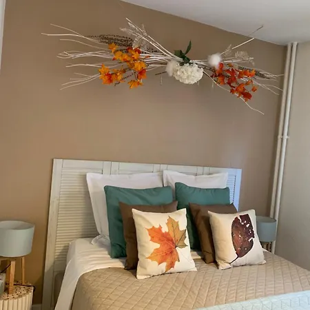 Le Belpierre Appartement Colmar